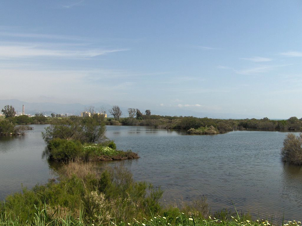 Desembocadura del Guadalhorce